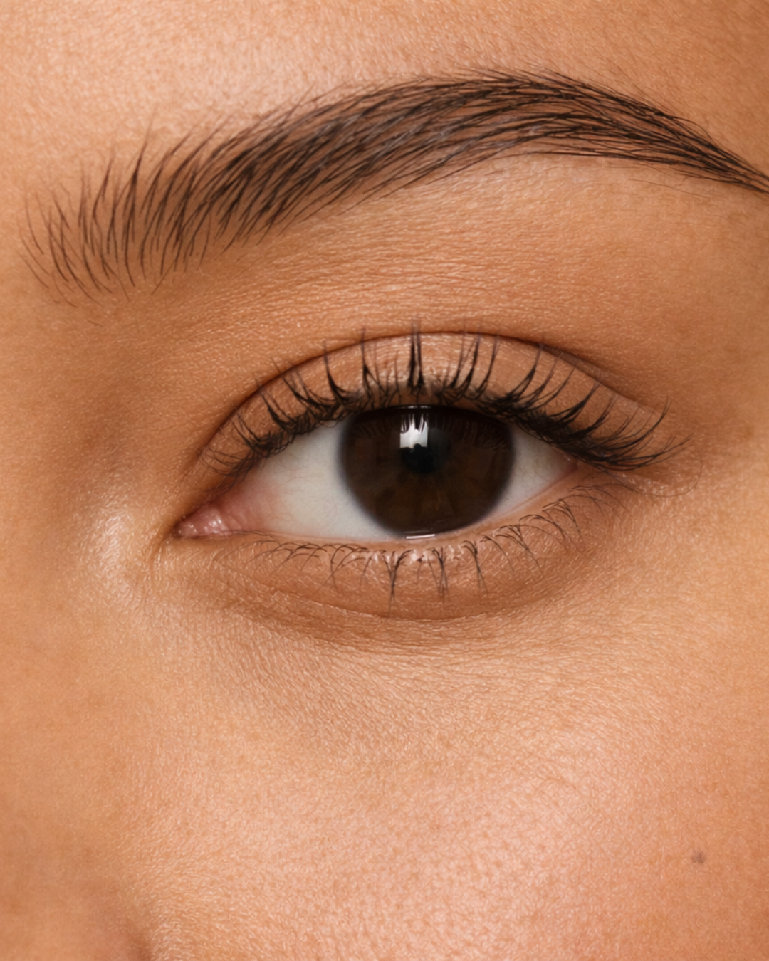 SECCION OJOS UTE MAKEUP SECCION OJOS UTE MAKEUP